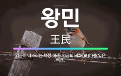 🌟왕민: 임금이 다스리는 백성. 또는 임금의 덕화(德化)를 입은 백성. - 표준국어대사전
