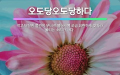 🌟오도당오도당하다: 작고 단단한 물건이 무너져 떨어지며 조금 요란하게 잇따라 울리는 소리가 나다. - 표준국어대사전