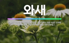 🌟와새: 은어로, ‘거짓말’을 이르는 말. (거짓말: 사실이 아닌 것을 사실인 것처럼 꾸며 대어 말을 함.... - 표준국어대사전