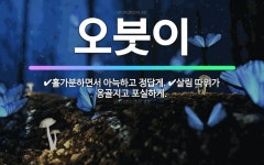 🌟오붓이: 홀가분하면서 아늑하고 정답게., 살림 따위가 옹골지고 포실하게. - 표준국어대사전