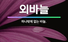 🌟외바늘: 하나밖에 없는 바늘. - 표준국어대사전