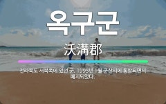 🌟옥구군: 전라북도 서북쪽에 있던 군. 1995년 1월 군산시에 통합되면서 폐지되었다. - 표준국어대사전