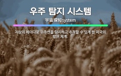 🌟우주 탐지 시스템: 지상의 레이다로 우주선을 탐지하고 추적할 수 있게 한 미국의 방어 체계. - 표준국어대사전