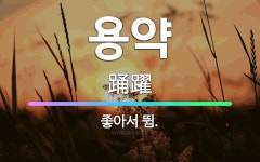 🌟용약: 좋아서 뜀. - 표준국어대사전