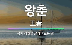 🌟왕춘: 음력 정월을 달리 이르는 말. - 표준국어대사전