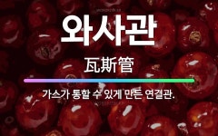 🌟와사관: 가스가 통할 수 있게 만든 연결관. - 표준국어대사전