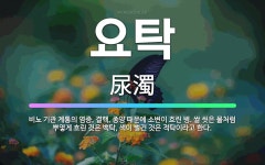 🌟요탁: 비뇨 기관 계통의 염증, 결핵, 종양 때문에 소변이 흐린 병. 쌀 씻은 물처럼 뿌옇게 흐린 것은 ... - 표준국어대사전