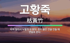 🌟고황죽: 바싹 말라서 누렇게 된 왕대. 흔히 좋은 연을 만들 때 연달로 쓴다. - 표준국어대사전