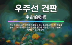 🌟우주선 건판: 전하 입자의 지나간 흔적을 기록할 수 있는 특수한 사진 건판. 감도를 높이기 위하여 브롬화... - 표준국어대사전