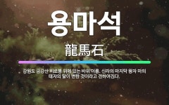 🌟용마석: 강원도 금강산 비로봉 위에 있는 바위 이름. 신라의 마지막 왕자 마의 태자의 말이 변한 것이라고....