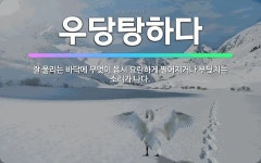 🌟우당탕하다: 잘 울리는 바닥에 무엇이 몹시 요란하게 떨어지거나 부딪치는 소리가 나다. - 표준국어대사전