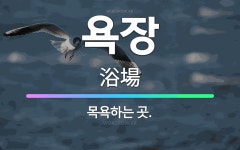 🌟욕장: 목욕하는 곳. - 표준국어대사전
