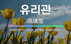 🌟유리관: 유리로 만든 가느다란 관. 흔히 화학 실험용으로 쓴다. - 표준국어대사전