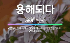🌟용해되다: 물질이 액체 속에서 균일하게 녹아 용액이 만들어지다., 녹게 되다. - 표준국어대사전