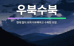 🌟우북수북: 한데 많이 모여 더부룩하고 수북한 모양. - 표준국어대사전