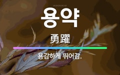 🌟용약: 용감하게 뛰어감. - 표준국어대사전