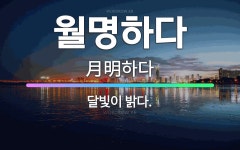 🌟월명하다: 달빛이 밝다. - 표준국어대사전