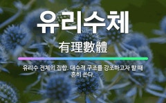 🌟유리수체: 유리수 전체의 집합. 대수적 구조를 강조하고자 할 때 흔히 쓴다. - 표준국어대사전
