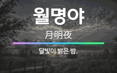 🌟월명야: 달빛이 밝은 밤. - 표준국어대사전