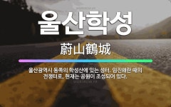 🌟울산학성: 울산광역시 동쪽의 학성산에 있는 성터. 임진왜란 때의 전쟁터로, 현재는 공원이 조성되어 있다. - 표준국어대사전