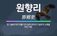 🌟원향리: 한 고을에 여러 대를 이어 살며 관아의 구실아치 노릇을 하던 사람. - 표준국어대사전