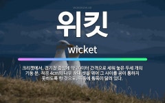🌟위킷: 크리켓에서, 경기장 중앙에 약 20미터 간격으로 세워 놓은 두세 개의 기둥 문. 직경 4cm의 나... - 표준국어대사전