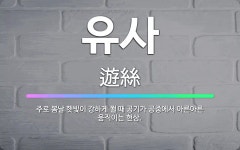 🌟유사: 주로 봄날 햇빛이 강하게 쬘 때 공기가 공중에서 아른아른 움직이는 현상. - 표준국어대사전