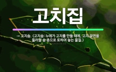🌟고치집: → 고치솜. (고치솜: 누에가 고치를 만들 때에, 고치 겉면을 둘러쌀 솜 층으로 토하여 놓는 물질.) - 표준국어대사전