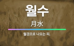 🌟월수: 월경으로 나오는 피. - 표준국어대사전