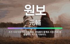 🌟원보: 조선 시대 의정부의 으뜸 벼슬. 정일품의 품계로 서정(庶政)을 총괄하는 최고의 지위이다. - 표준국어대사전