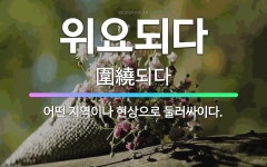 🌟위요되다: 어떤 지역이나 현상으로 둘러싸이다. - 표준국어대사전