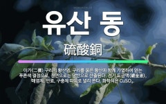 🌟유산 동: 이가(二價) 구리의 황산염. 구리를 묽은 황산과 함께 가열하여 얻는 푸른색 결정으로, 천연으로... - 표준국어대사전