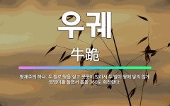 🌟우궤: 땅재주의 하나. 두 팔로 땅을 짚고 꼿꼿이 앉아서 두 발이 땅에 닿지 않게 엉덩이를 들면서 몸을 ... - 표준국어대사전