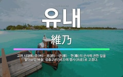 🌟유내: 고려 시대에, 주(州)ㆍ부(府)ㆍ군(郡)ㆍ현(縣)의 군사에 관한 일을 맡아보던 벼슬. 성종 2년(... - 표준국어대사전