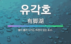 🌟유각호: 물이 흘러 나가는 하천이 있는 호수. - 표준국어대사전
