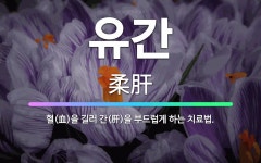 🌟유간: 혈(血)을 길러 간(肝)을 부드럽게 하는 치료법. - 표준국어대사전