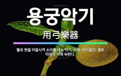 🌟용궁악기: 활로 현을 마찰시켜 소리를 내는 악기. 아쟁, 바이올린, 첼로 따위가 이에 속한다. - 표준국어대사전