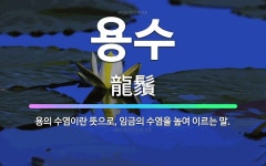 🌟용수: 용의 수염이란 뜻으로, 임금의 수염을 높여 이르는 말. - 표준국어대사전