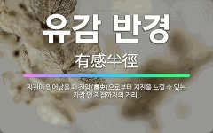 🌟유감 반경: 지진이 일어났을 때 진앙(震央)으로부터 지진을 느낄 수 있는 가장 먼 지점까지의 거리. - 표준국어대사전