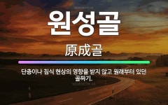 🌟원성골: 단층이나 침식 현상의 영향을 받지 않고 원래부터 있던 골짜기. - 표준국어대사전