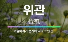 🌟위관: 벼슬아치가 품계에 따라 쓰던 관. - 표준국어대사전