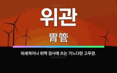 🌟위관: 위세척이나 위액 검사에 쓰는 가느다란 고무관. - 표준국어대사전