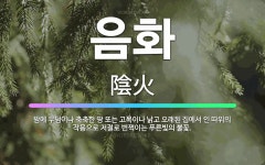 🌟음화: 밤에 무덤이나 축축한 땅 또는 고목이나 낡고 오래된 집에서 인 따위의 작용으로 저절로 번쩍이는 푸... - 표준국어대사전