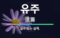 🌟유주: 실수 또는 실책. - 표준국어대사전