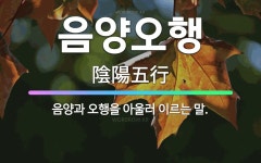 🌟음양오행: 음양과 오행을 아울러 이르는 말. - 표준국어대사전