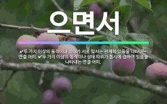🌟으면서: 두 가지 이상의 동작이나 상태 따위가 동시에 겸하여 있음을 나타내는 연결 어미., 두 가지 이상... - 표준국어대사전