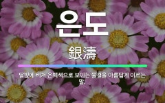 🌟은도: 달빛에 비쳐 은백색으로 보이는 물결을 아름답게 이르는 말. - 표준국어대사전