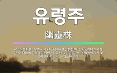 🌟유령주: 유령 회사의 주식., 위조한 주식., 주식회사를 설정하거나 신주(新株)를 발행할 때, 발기인이나... - 표준국어대사전