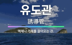 🌟유도관: 액체나 기체를 끌어오는 관. - 표준국어대사전