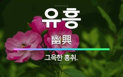 흥에취한범Ⅱ | 🌟유흥: 그윽한 흥취. - 표준국어대사전